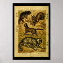 Suche nach serval poster Vintag