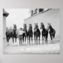 Suche nach zeigen sie pferd poster Pferde