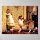 Recherche de shelties posters Chien de berger