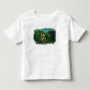 Suche nach tropischer wald tshirts J f