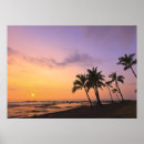 Suche nach kona poster Palmen