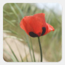 Suche nach mohn aufkleber Schön