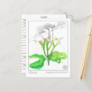 Recherche de giroflée cartes postales Pour tous