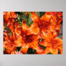 Suche nach vibrant poster Orange