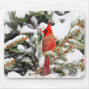 Suche nach roter kardinal mousepads Wild