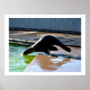 Suche nach seelöwe poster Meer