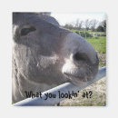 Recherche de d âne magnets Ferme