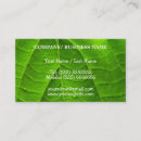Recherche de paysage cartes visite Feuille