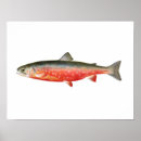 Suche nach fishing poster Trout