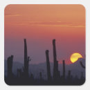 Recherche de tucson autocollants Nature