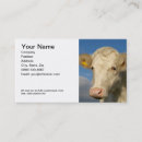 Recherche de cultivant Vache