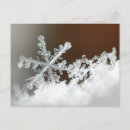 Suche nach blizzard postkarten Schneeflocke