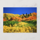 Suche nach herbstlandschaft postkarten Baum