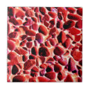 Suche nach kies fliesen Küste