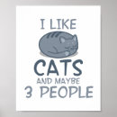 Suche nach funny cat poster Kitty