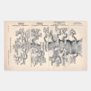 Recherche de darwin autocollants Évolution