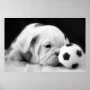 Suche nach nose art poster Cute