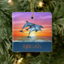 Suche nach blauer delphin ornamente Strand