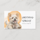 Recherche de cultures cartes visite Groomer