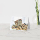 Suche nach spargel karten Vogelvogel