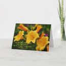 Suche nach 1 korinther 13 karten Blume