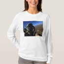 Suche nach luftkampf tshirts Luftwaffe