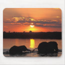 Suche nach herde mousepads Braun