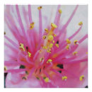 Recherche de macro posters Floral