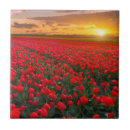 Suche nach tulpen fliesen Blüte