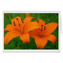 Suche nach lilium postkarten Flora