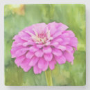 Recherche de zinnia dessous de verres Fleur