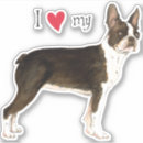 Recherche de gentleman autocollants Boston terrier