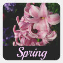 Recherche de hyacinthe autocollants Jardin