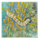 Recherche de peinture papillon posters Faune