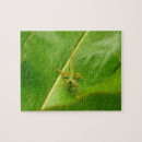 Recherche de lézard puzzles Nature