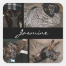 Suche nach kleiner hund aufkleber Hundefreund