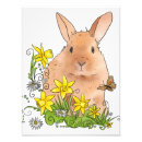 Suche nach hasen poster Kaninchen