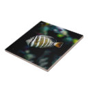 Recherche de poissons tropicaux carreaux Pour tous