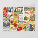 Recherche de paquet de cartes postales Floral