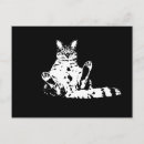Recherche de drôle chat cartes postales Kitty