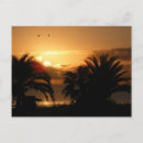 Recherche de soleil levant cartes postales Plage