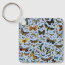 Recherche de illustration papillon porteclés Papillons