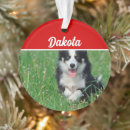 Suche nach border collie schmuck Für haustiere