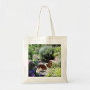 Suche nach spaniel taschen Welpe