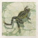 Suche nach kröte untersetzer Frosch