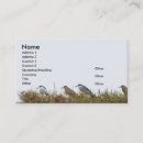 Suche nach schwarze vögel visitenkarten Schön