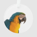 Suche nach ara ornamente Vogelvogel