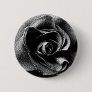 Suche nach schwarze rose buttons Natur