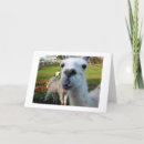 Suche nach goofy karten Spaß