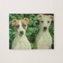 Recherche de whippet puzzles Chien